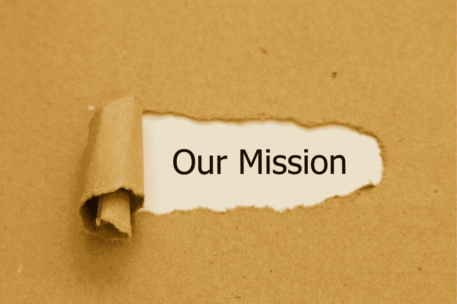 Hafeez Center Our Mission